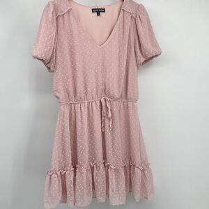 Crystal Doll Pastel Pink Swiss Dot Ruffled Dress Large